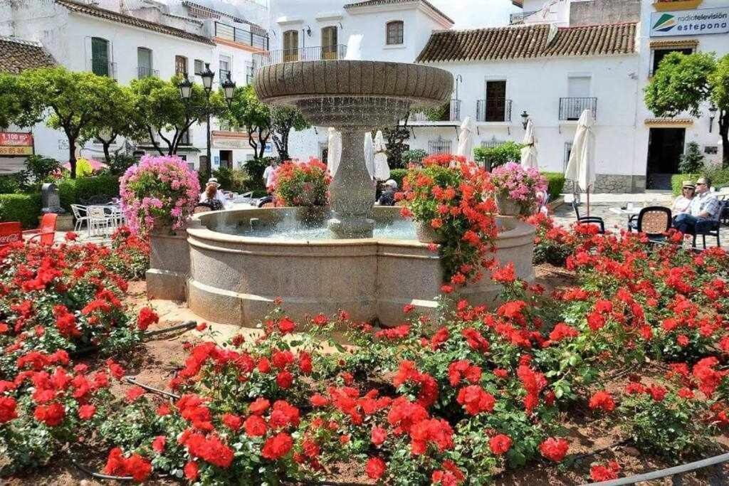 XV Apartamentos Morales & Arnal Estepona Kültér fotó